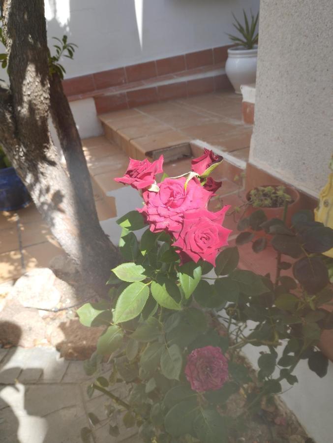 Vakantiehuis El Madrono De La Encantada *